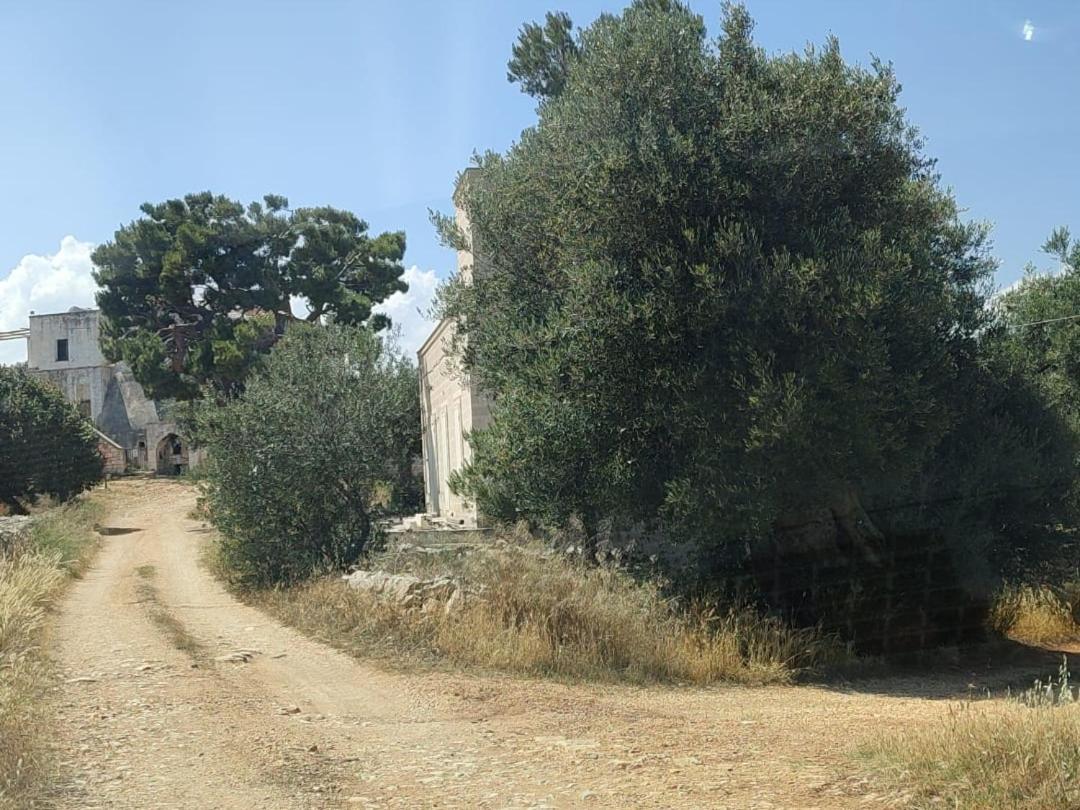 La Guendalina Masseria E Casa Particular Bed & Breakfast Monopoli Bagian luar foto